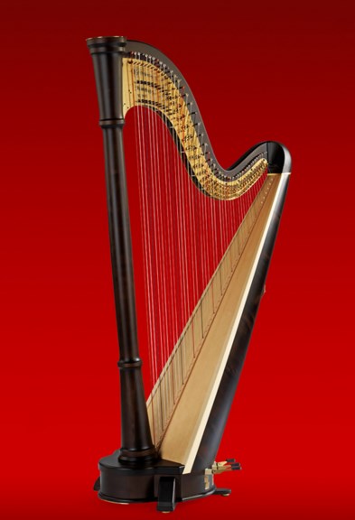 HORNGACHER Andromeda Arp - 3