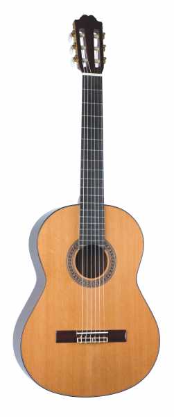 Klasik Gitar - İspanyol - 1