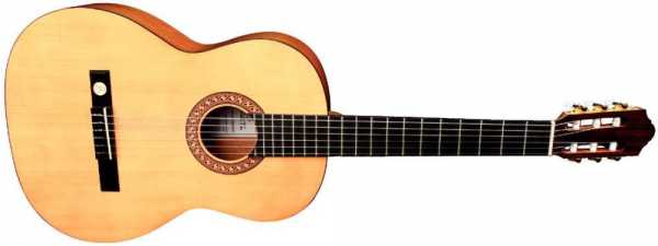 PRO ARTE Klasik Gitar 4/4 - 1